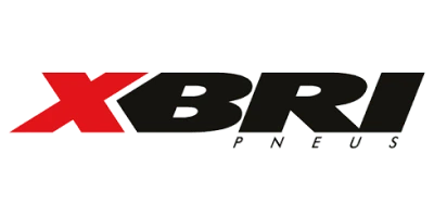 XBRI